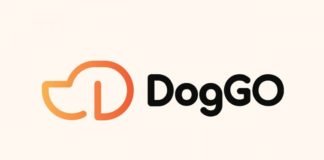 Köpek gezdirme ve bakım hizmeti sağlayan DogGO, evde bakım hizmetini de duyurdu