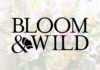 İngiltere merkezli Bloom & Wild, Hanzade Doğan’ın kurucusu olduğu D4 Ventures’ın katıldığı turda 102 milyon dolar yatırım aldı