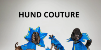 IKEA, Köpekler için Haute Couture Kıyafet Tasarladı
